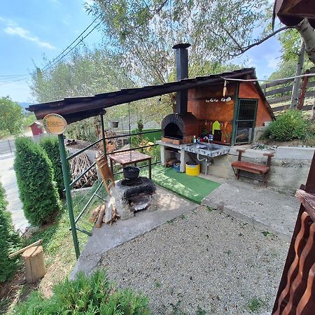 Villa Casa Diana à Nucşoara Extérieur photo