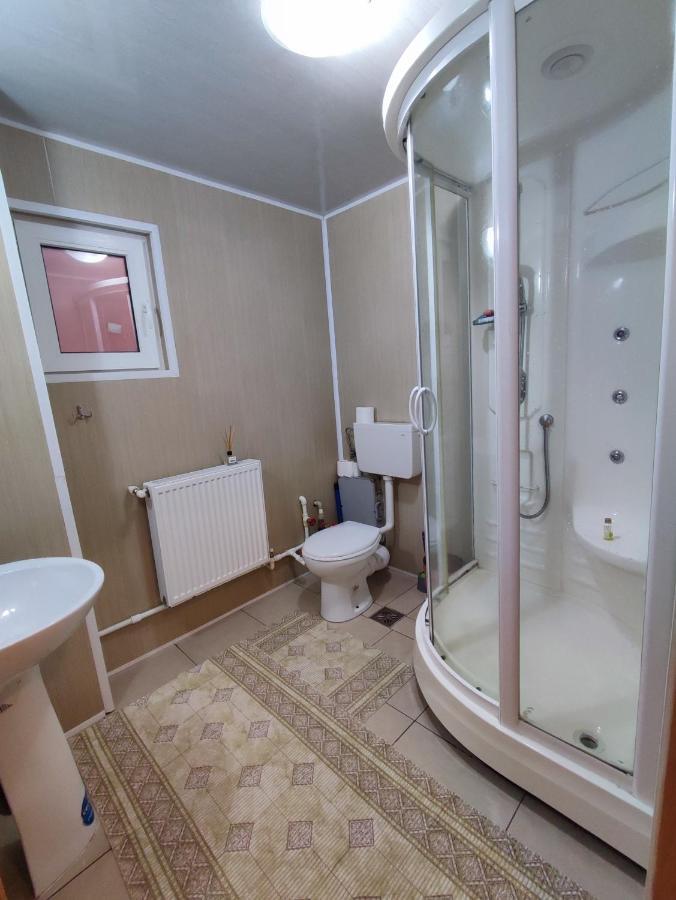 Villa Casa Diana à Nucşoara Extérieur photo