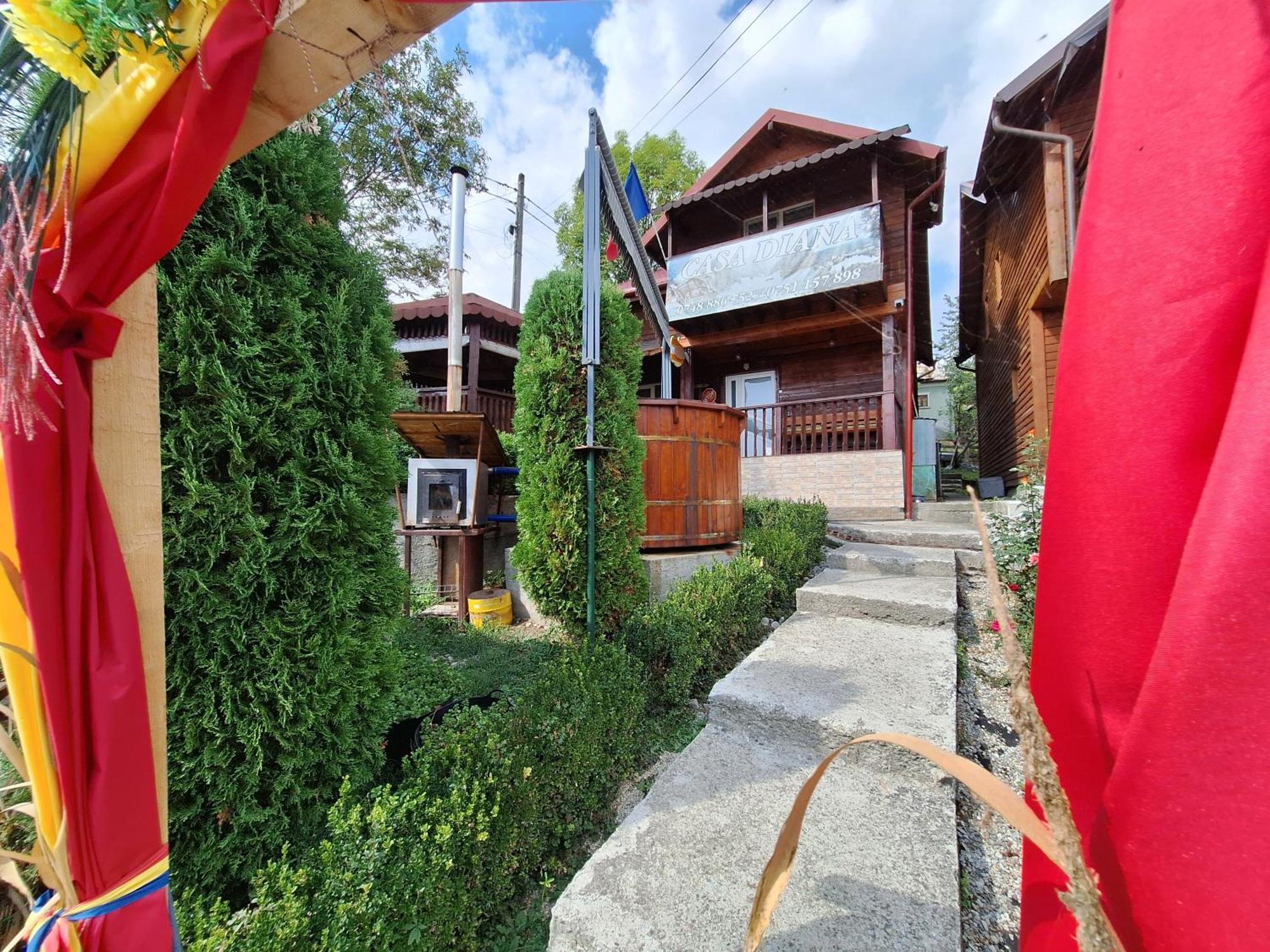 Villa Casa Diana à Nucşoara Extérieur photo